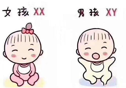 试管婴儿价格多少钱