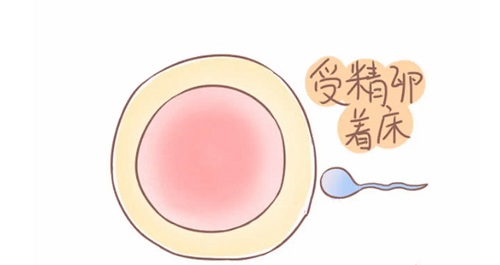 试管婴儿医院哪家好？