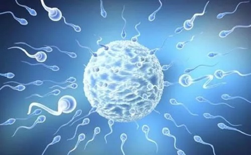 试管婴儿促排方案该怎么选？哪种方案最佳？