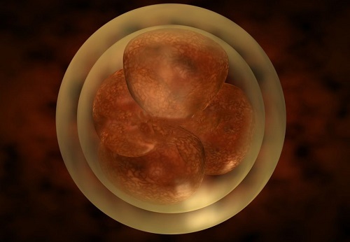 胚胎通过美国试管婴儿基因检测的概率有多大？