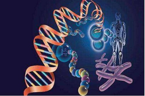 试管婴儿成功怀孕之后，如何补充叶酸？