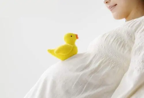 试管婴儿助孕要花多长时间？