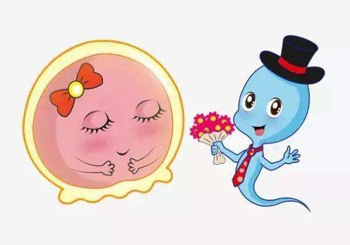 试管婴儿医院哪家好