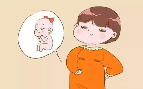 泰国试管攻略之提前准备调理IVF受孕率高