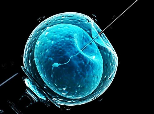 试管婴儿取卵、胚胎培养、胚胎移植过程是怎样的？