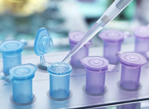 泰国试管放2个胚胎的成活率有多高？