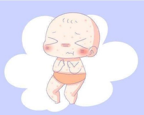 试管婴儿取卵的过程是什么