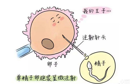做美国第三代试管婴儿发生腹水的可能性大吗？