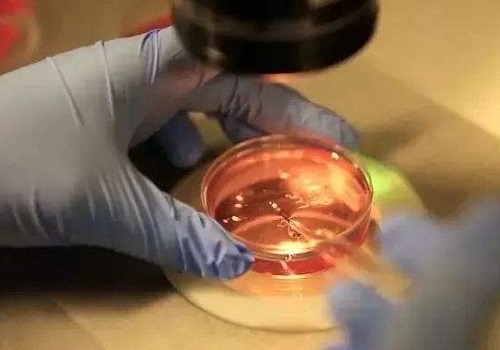 试管婴儿做一次多少钱_3