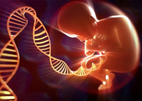 美国试管：封闭抗体会导致生化妊娠吗？