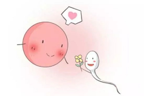 试管婴儿健康吗？怎样生出健康宝宝？