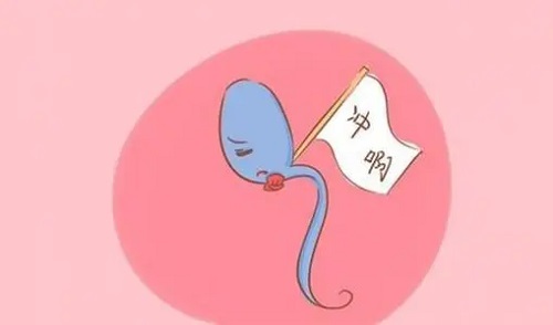 试管婴儿价格贵吗