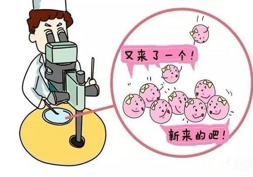 从优生优育角度讲，建议做美国第三代试管婴儿