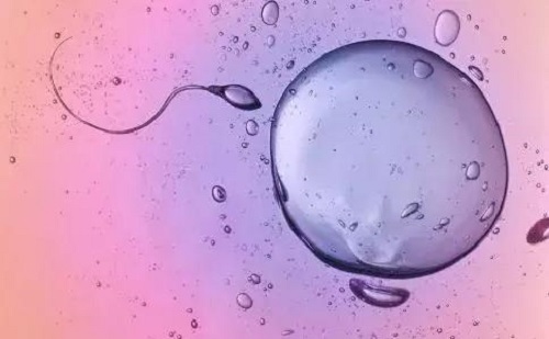 试管婴儿做一次多少钱