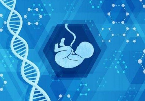 3次促排和3次移植都没有着床，怎么办？美国试管专家建议